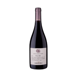 Vino Errázuriz Aconcagua Costa Pinot Noir 750cc